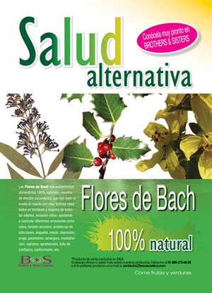 REVISTA
