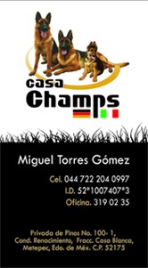 Tarjetas de presentación (idea original de la empresa)