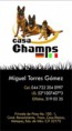 /album/fotogaleria/tarjetachamps-jpg/